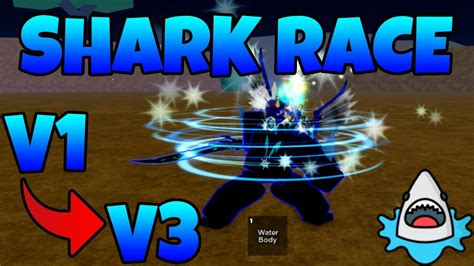 race v2 shark|what does water body do.